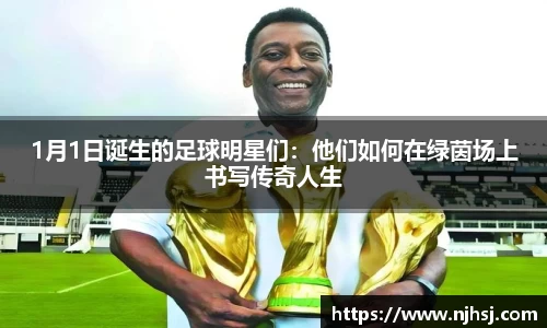 九游体育.九游体育官网入口