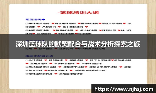 深圳篮球队的默契配合与战术分析探索之旅